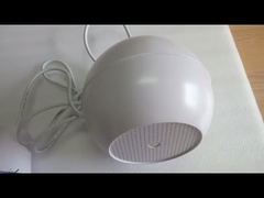 จี้ลำโพง