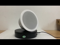 ลำโพงไอพี